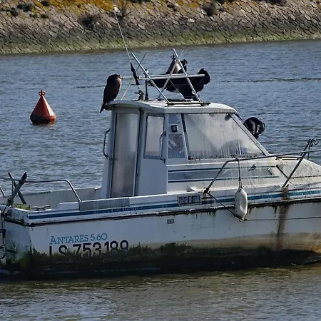 Un à 200 M De La à Jean De Monts *