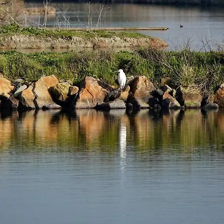 Emplacement Ideal 200m De La * Saint-Jean-de-Monts