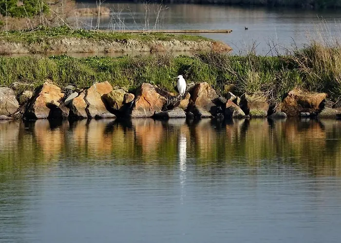 Emplacement Idéal 200m De La * Saint-Jean-de-Monts